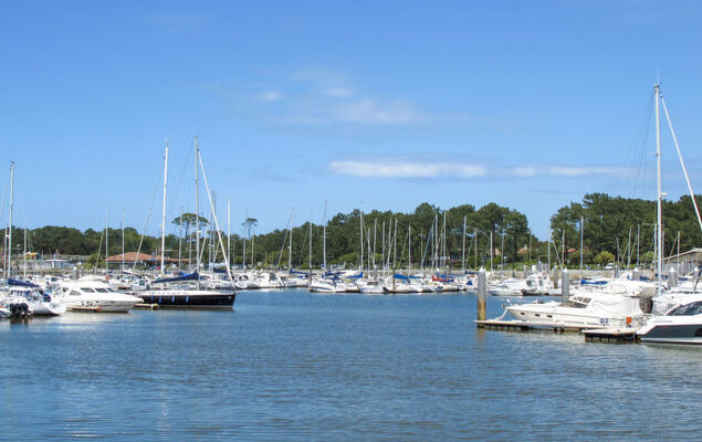 Maison de l'océan - Photo 33