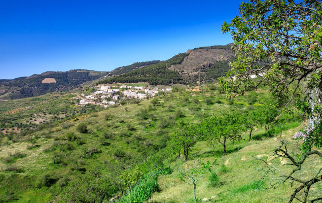Paraje Starlight Murtas - Alpujarra - Photo 40