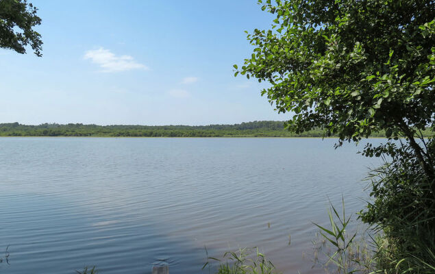 Côté du Lac - Photo 17