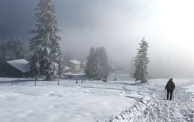 Runnimoos - Photo 27