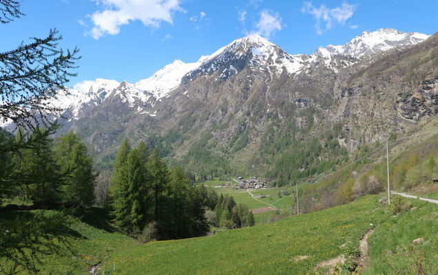 Chez Les Roset - Photo 31