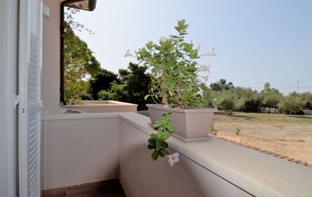 Amici Miei di Ponente - Photo 21