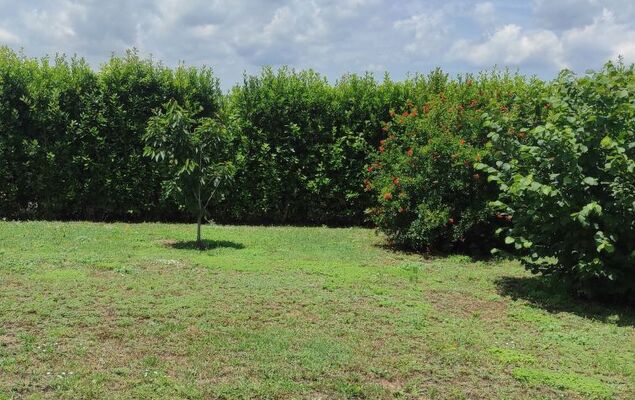 Amici Miei di Ponente - Photo 25