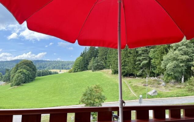 Schöne Aussicht (App 1406 / EX-Kurhotel) - Photo 20