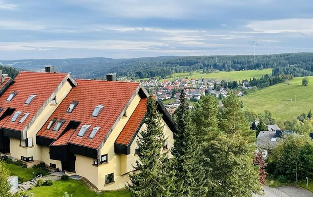 Schwarzwaldblick - Photo 1