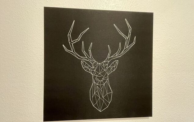 Schwarzwaldblick - Photo 15