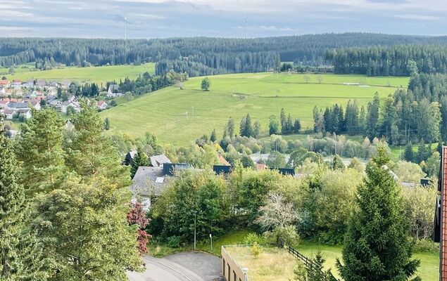 Schwarzwaldblick - Photo 23