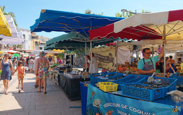 Les terrasses de la Plage - Photo 22