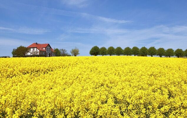 Gollwitzer Park (Insel Poel) - Photo 9