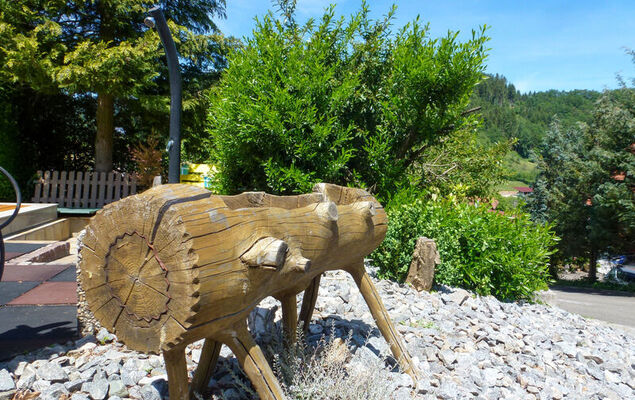 Pension Himmelsbach - Photo 28