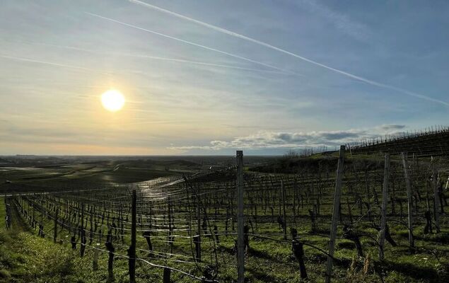 Schwarzwaldchalet de luxe mit Sauna - Photo 31