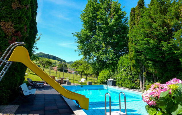 Pension Himmelsbach - Photo 17