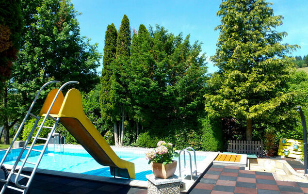 Pension Himmelsbach - Photo 19