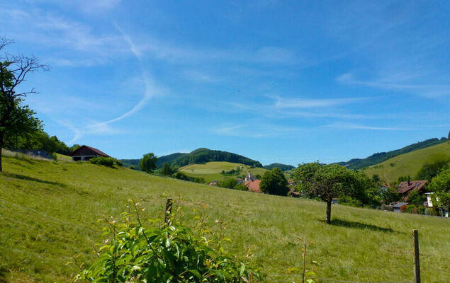 Pension Himmelsbach - Photo 21