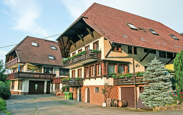 Pension Himmelsbach - Photo 22