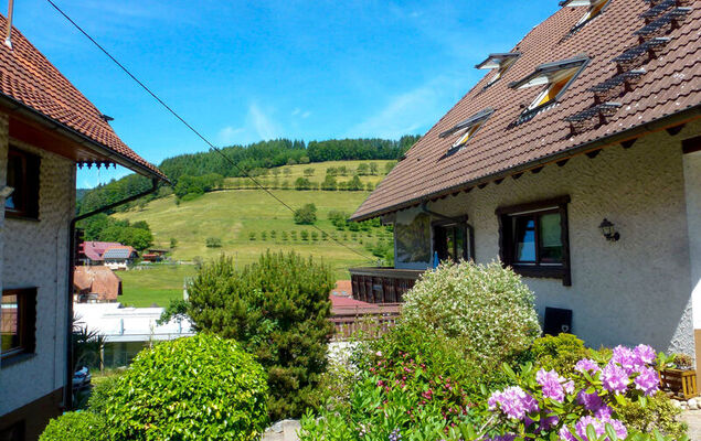 Pension Himmelsbach - Photo 25