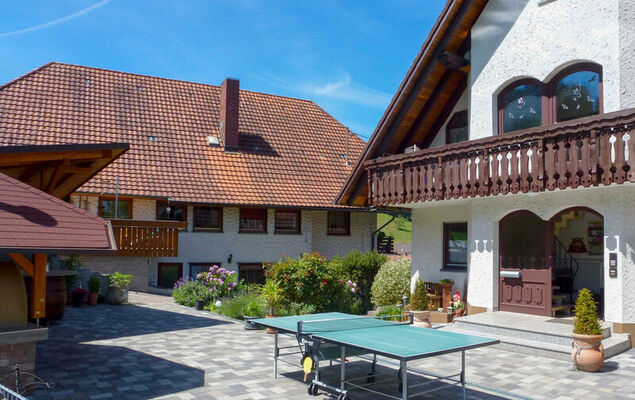 Pension Himmelsbach - Photo 31